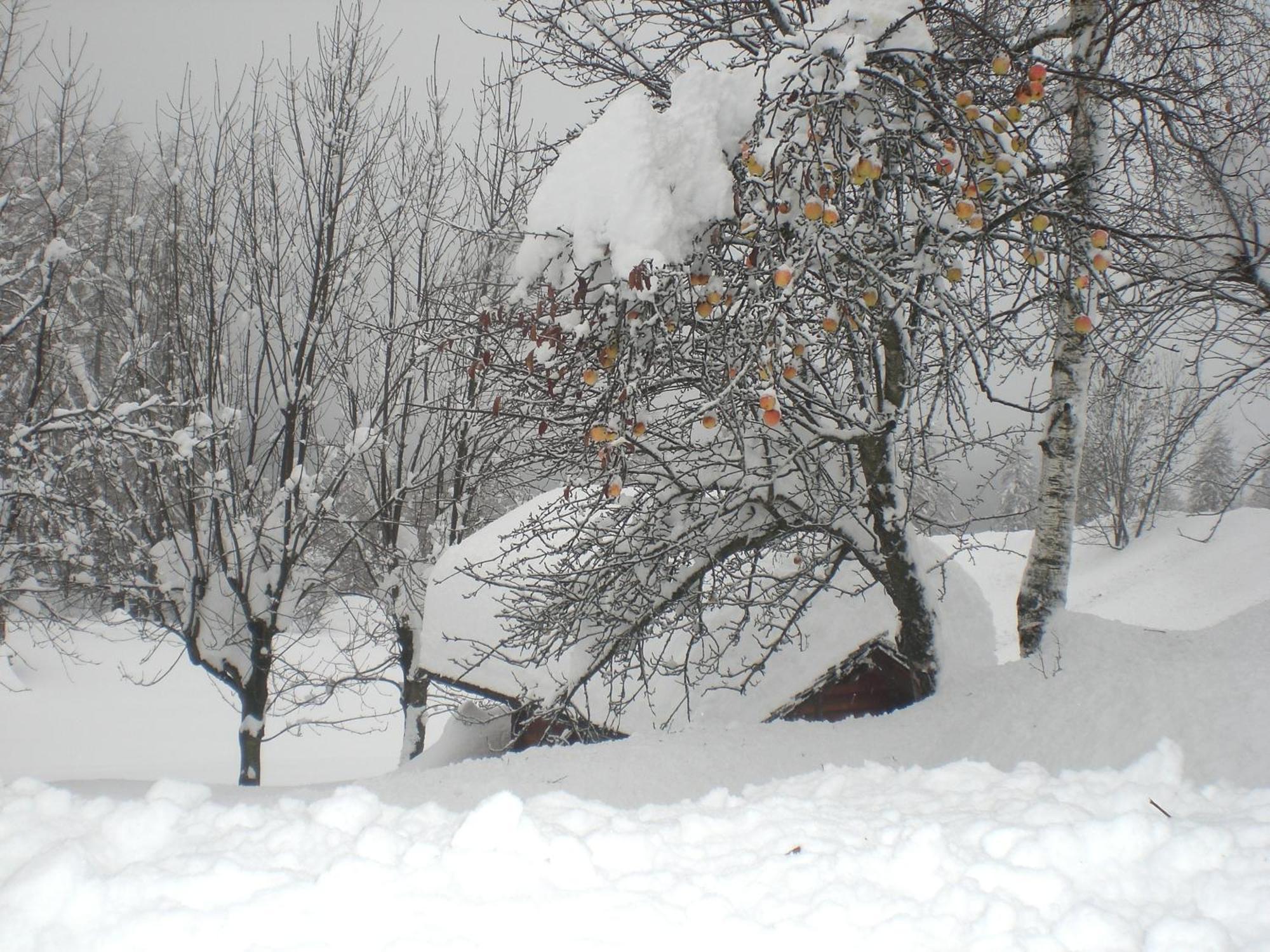 Fraina * Cortina d'Ampezzo